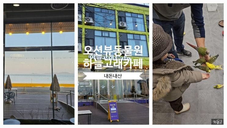 인천 영흥도 뷰맛집 하늘고래카페 (동물먹이주기체험 어항물멍)