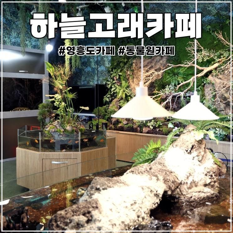 영흥도 카페 아이랑 갈만한곳 미니동물원 하늘고래카페