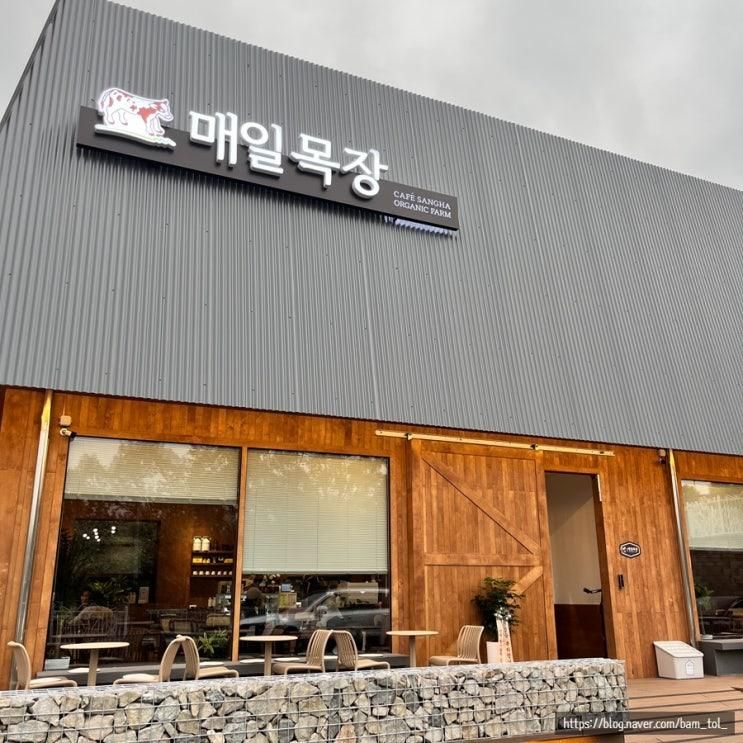 원주 무실동 아이랑 가기 좋은 신상 카페 매일목장
