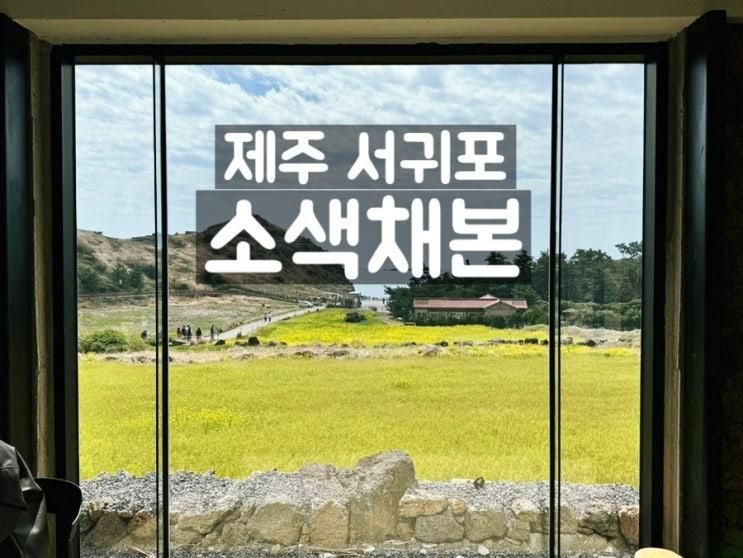 제주 서귀포 카페 소색채본 유채꽃 배경에서 인생샷 찍어요!...