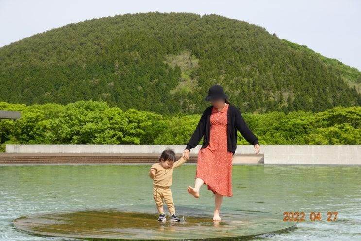 제주 16일차 / 제주돌문화공원. 상춘재. 함덕해수욕장