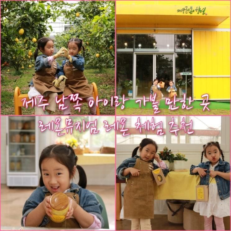 제주 남쪽 아이랑 가볼 만한 곳 레몬뮤지엄 레몬 따기 레몬청...