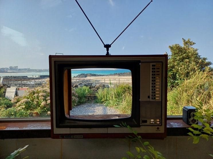한동 환해장성, 오저여, 청굴물, 창꼼바위, 존맛식당)