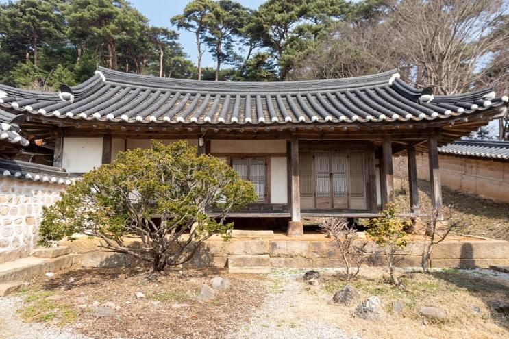 충남 서산 명소 유기방 가옥 수선화 축제 간월도 간월암 서산...