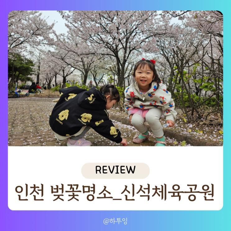 인천 아이랑 벚꽃구경 찐 명소 신석체육공원