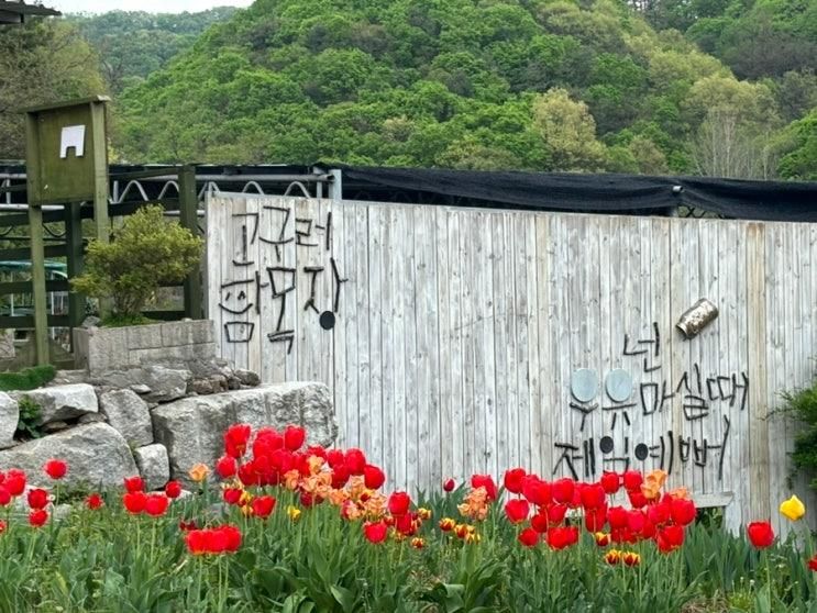 [파주] 34 개월 아기, 파주 " 고구려 목장"에서 낙농체험 후기