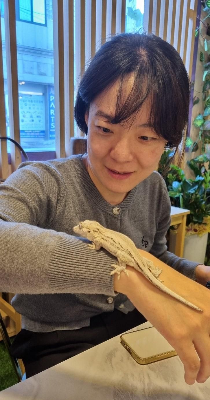 오산 아이와 가볼만한 곳 도마뱀카페 파파테일 이색체험