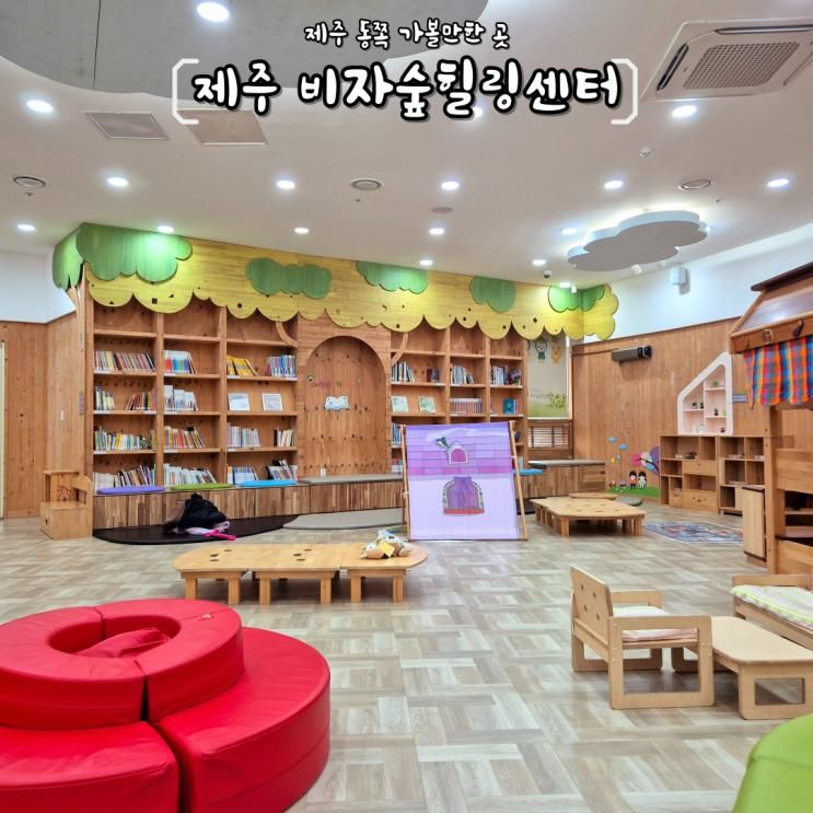 제주 비자숲힐링센터 제주도 실내놀이터 동쪽 가볼만한 곳...