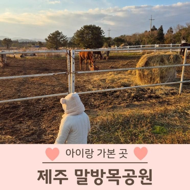 제주 아이랑 가볼만한곳 추천 무료 말방목공원