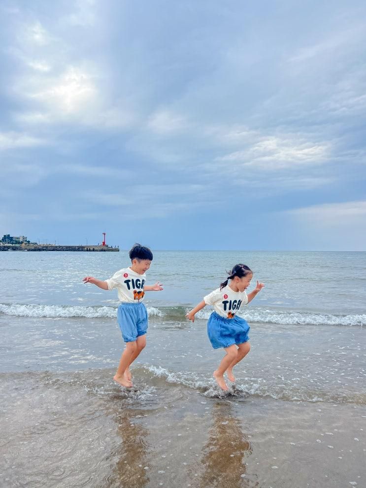 아이와 제주도 4 매일올레시장 감귤박물관 이호테우해수욕장