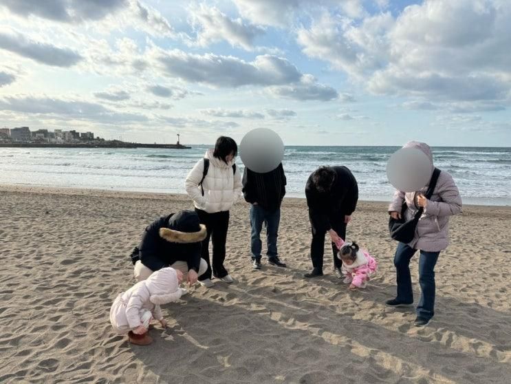 제주도 아기랑 이호테우해수욕장