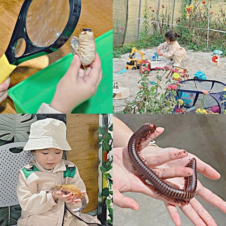 아이랑가기좋은 자연을 배우는 체험학습장 "풍이랑 곤충체험농장"
