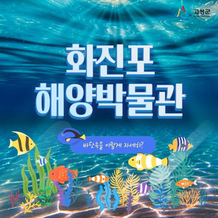 두둥! 화진포 해양박물관 정식 개관!