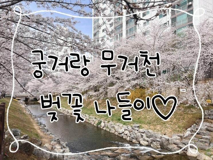 무거천 궁거랑 벚꽃 아기랑 후기 주말 주차