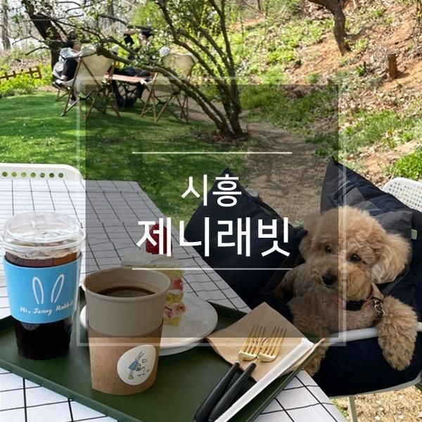경기도 목련 카페 시흥 제니래빗 애견동반 놀거리 자목련 4월...