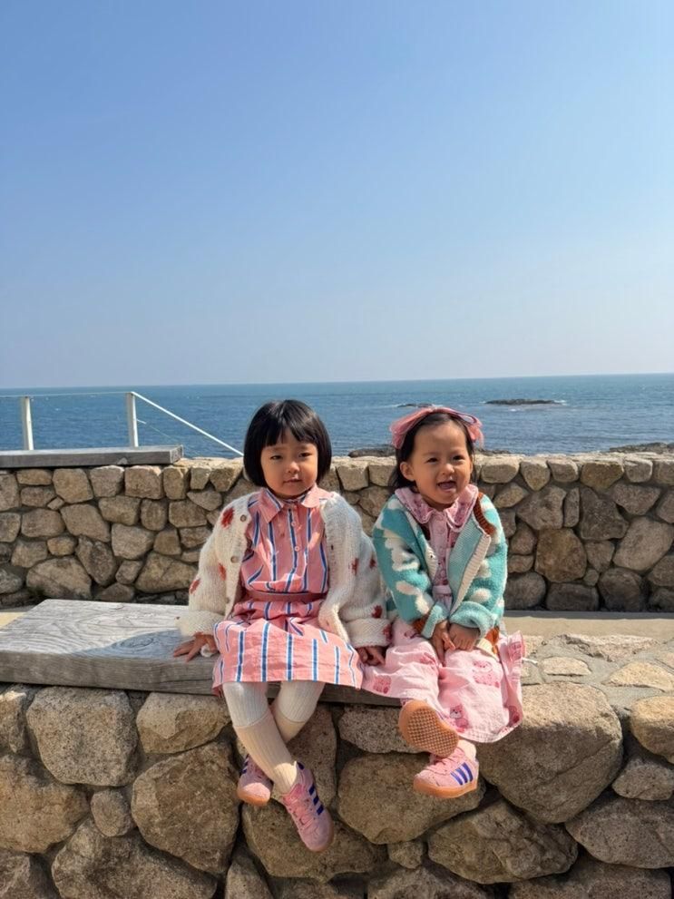 기장카페 제주도 느낌 돌담 포토존과 통창 오션뷰 피크스퀘어
