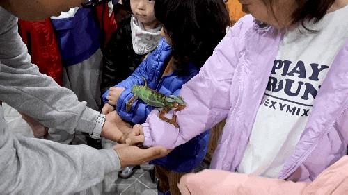 [강원도고성] 파충류 체험이 가능한 포레스트 카페