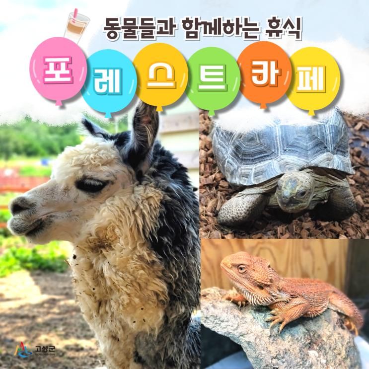 아이들이 행복해지는 곳! 고성 포레스트 카페