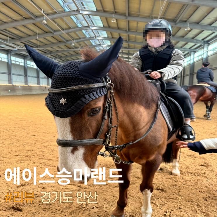 안산승마레슨 에이스승마랜드 어린이승마체험 후기