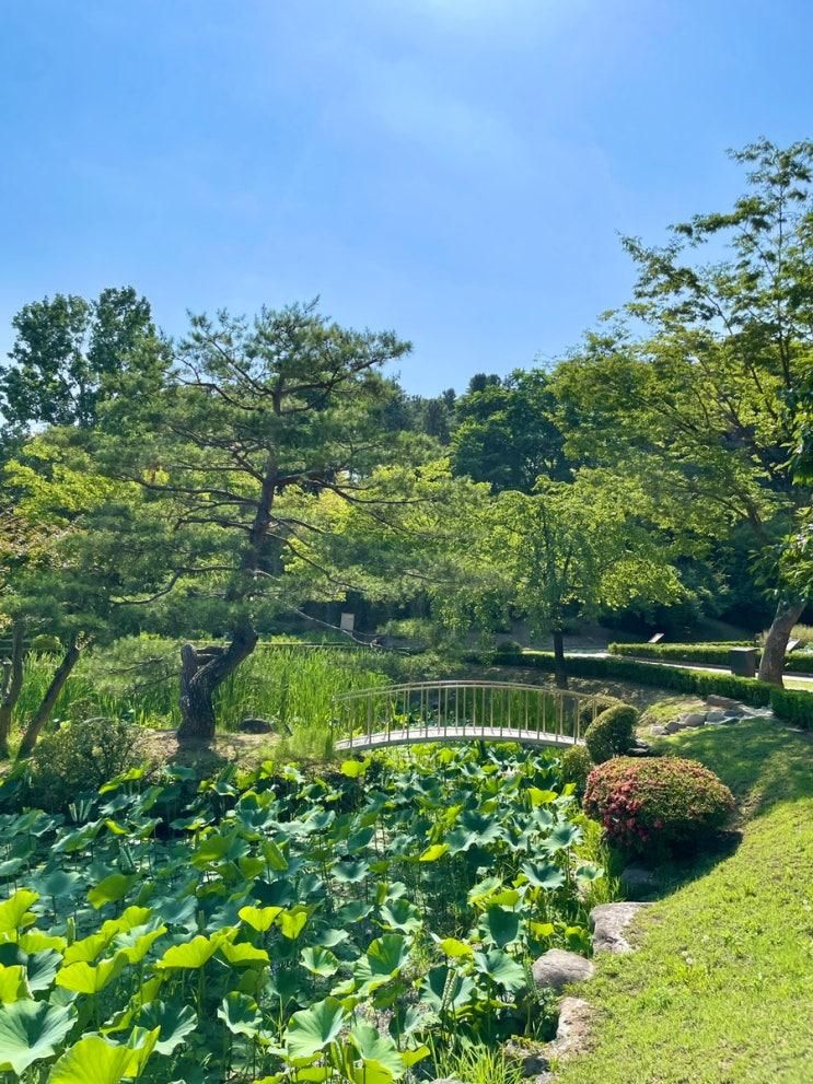 강릉 오죽헌 / 율곡기념관 : 아기와 산책하기 좋은 곳 (단...