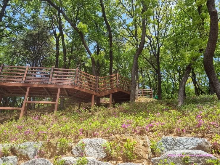 파주 등산 학령산산림공원, 학령산유아숲체험원