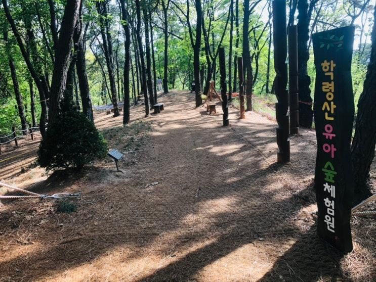 파주 - 학령산 유아숲체험원