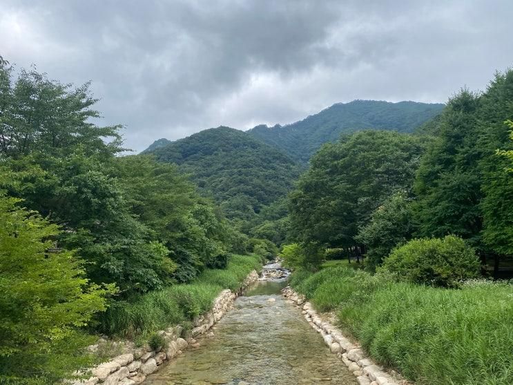 [아이랑 여행](문경) 문경새재 도립공원(전동차, 오픈세트장)