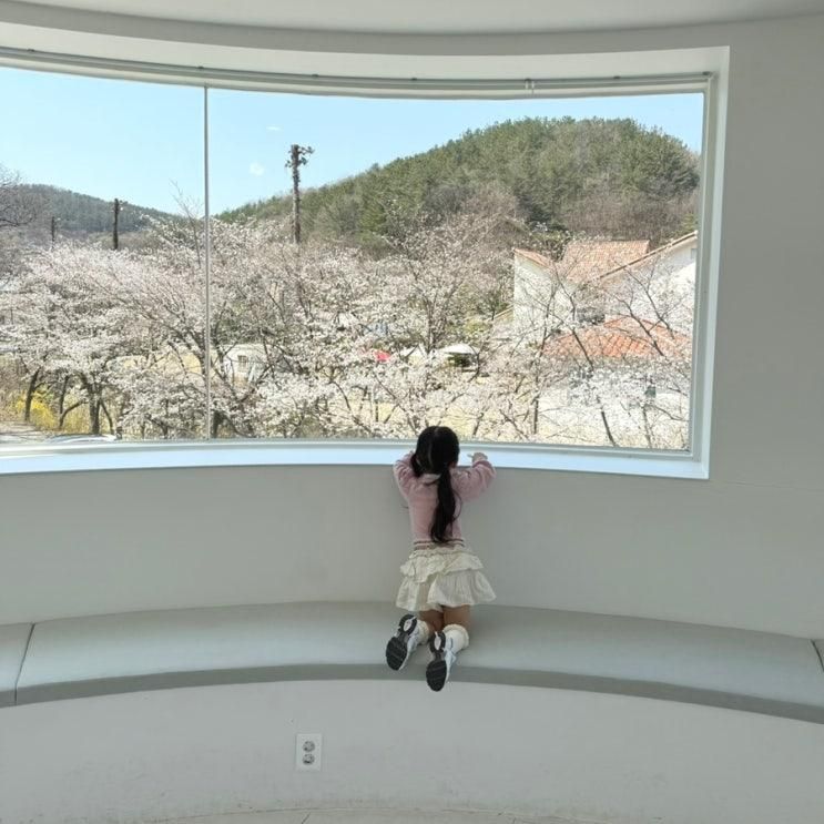 대전 근교 아기랑 공주카페 벚꽃명소 내재