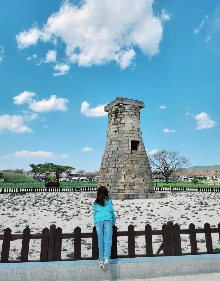 경주 2박3일 가족여행 코스 대릉원 포토존 첨성대