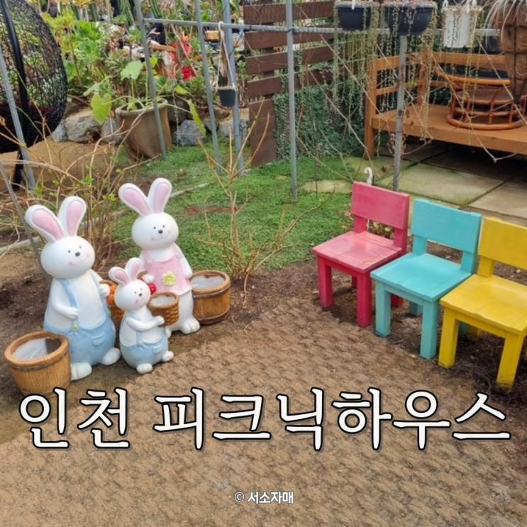 인천 체험카페 피크닉하우스 동물 식물 체험 놀거리 가득