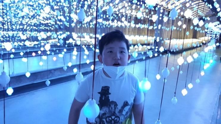 단양 만천하 전망대 & 수양개빛터널 다녀왔어요