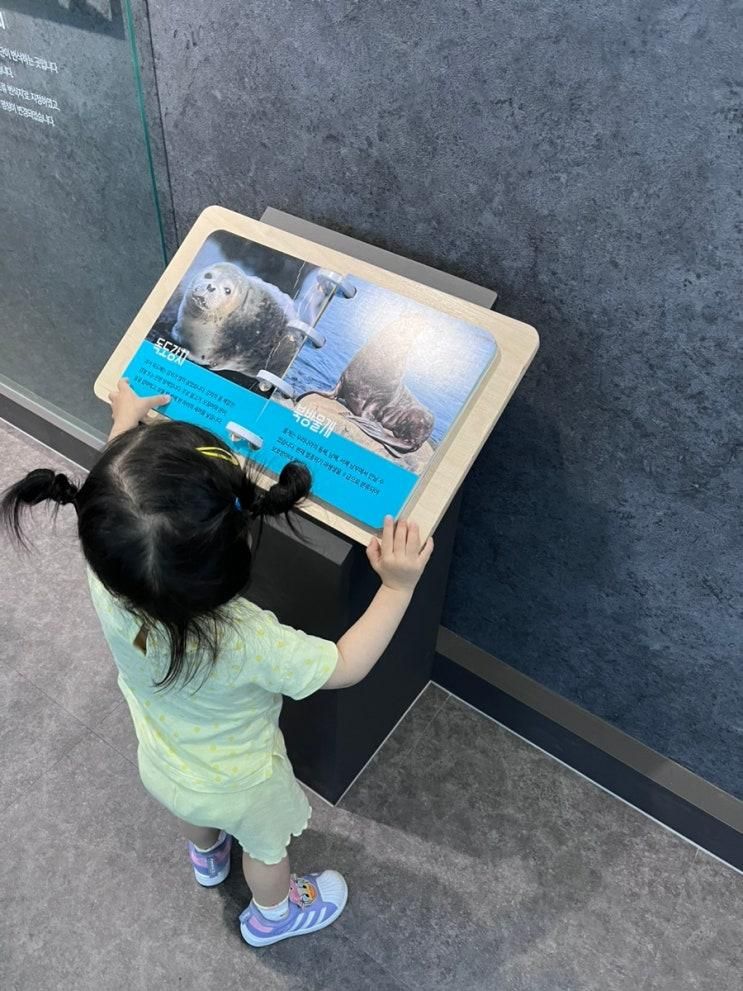 인천 학생교육문화회관... 도미노실, 독도체험관 등 놀거리 너무...