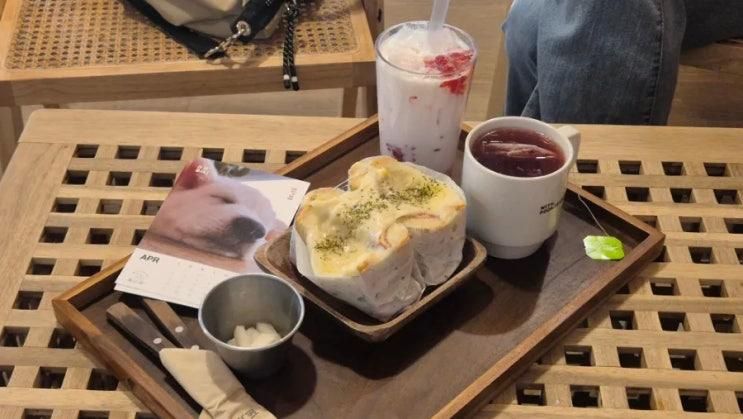 안성 삼죽면 강아지랑 고양이 있는 풍사니랑 카페 방문후기 및...
