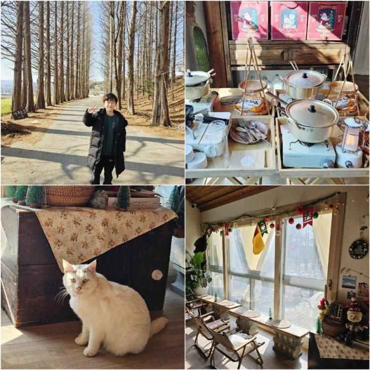 메타쉐콰이어길과 야외라면까지 아기자기한 감성카페 풍사니랑