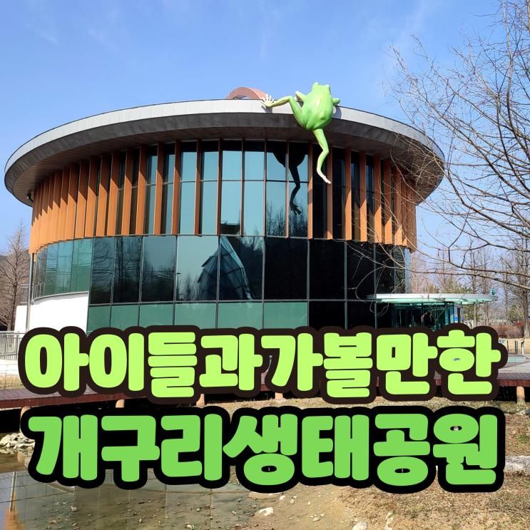 담양 개구리생태공원 생태관 & 아이와 실내 가볼만한곳