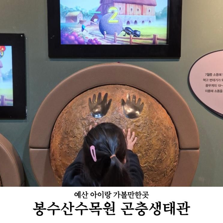 충남 예산 가볼만한 곳 봉수산수목원 곤충생태관