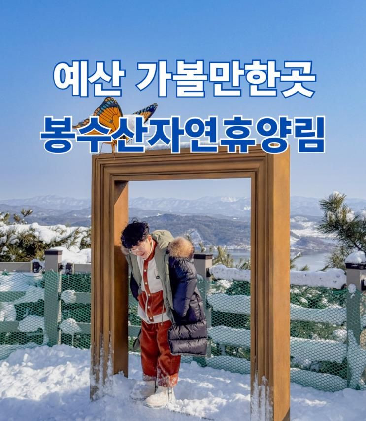 예산 가볼한곳, 봉수산자연휴양림 수목원에서 아이와 하늘데크