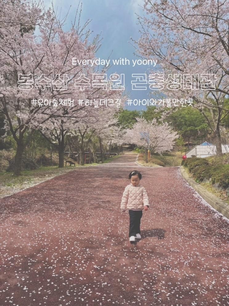 [충남/예산] 봉수산 수목원 유아숲체험원 곤충생태관...