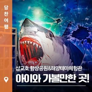 당진 아이와 가볼 만한 곳 삽교호 함상공원&해양테마체험관