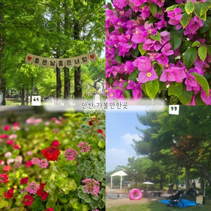 안산 가볼만한곳 아이들과 성호공원 물놀이장 안산식물원 박물관