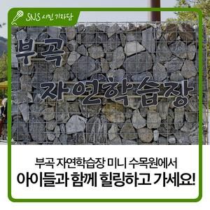 안산 부곡 자연학습장 미니 수목원에서 아이들과 함께...