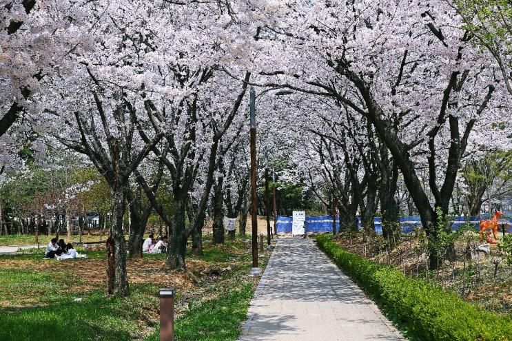 수원근교 나들이 안산 아이와 가볼만한곳 부곡자연학습장 안산...