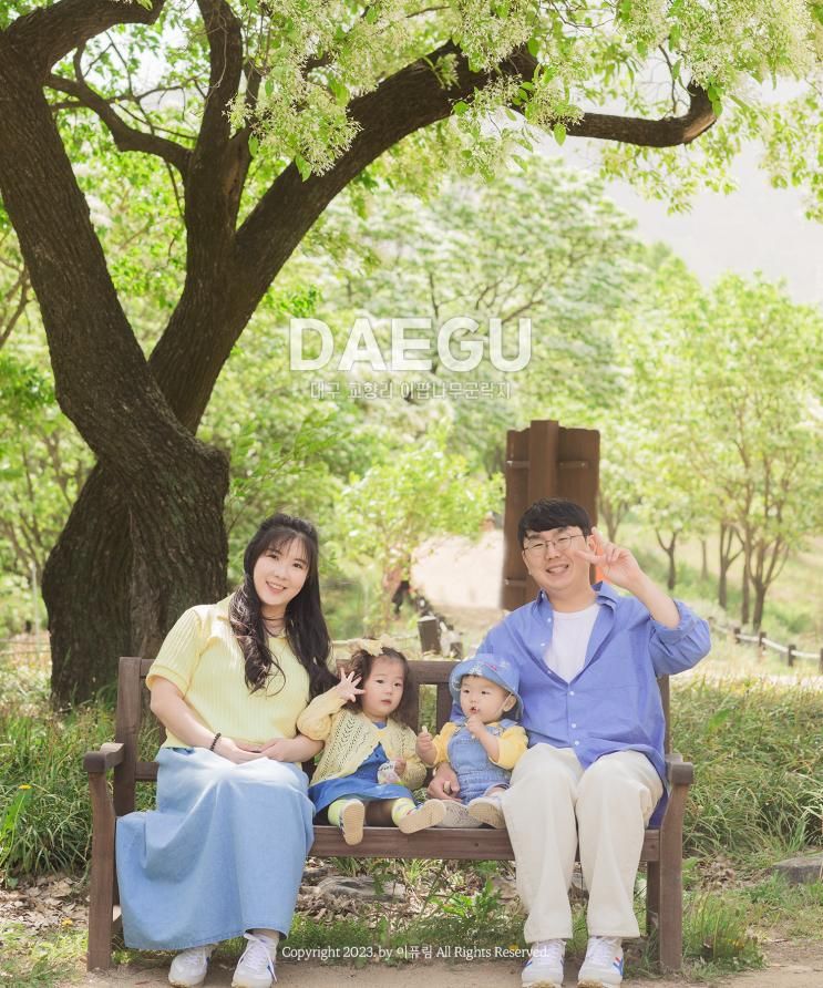 대구 교항리 이팝나무 군락지 아이랑 가볼만한곳 !
