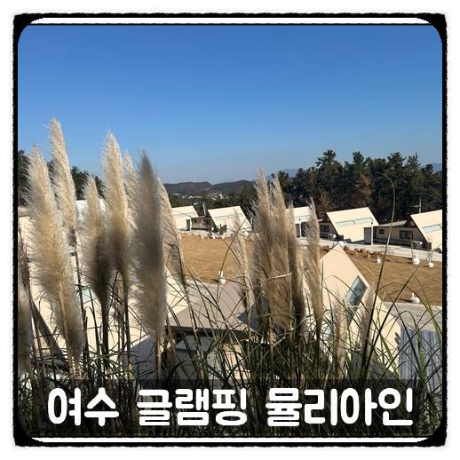여수 돌산 숙소 글램핑 뮬리아인 오션뷰 가족 캠핑 추천