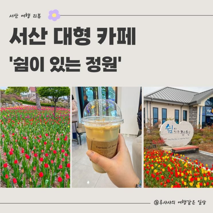 서산대형카페 튤립가득한 쉼이있는정원