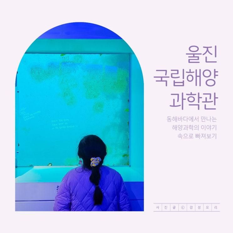 아이와 바닷속 이야기 여행 국립해양과학관 경북 울진 가볼만한곳