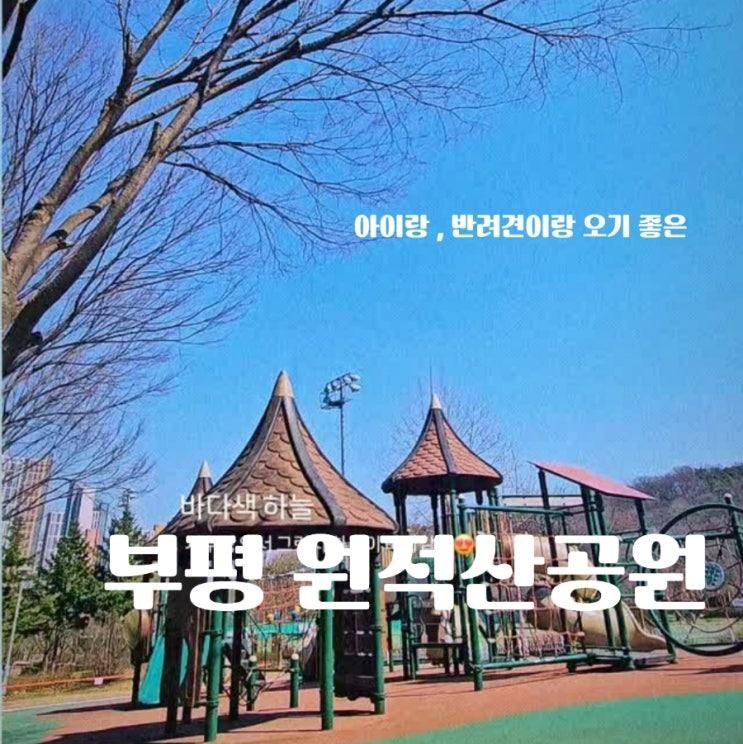 아이랑 , 반려견이랑 오기 좋은 부평 원적산공원 (애개육아...