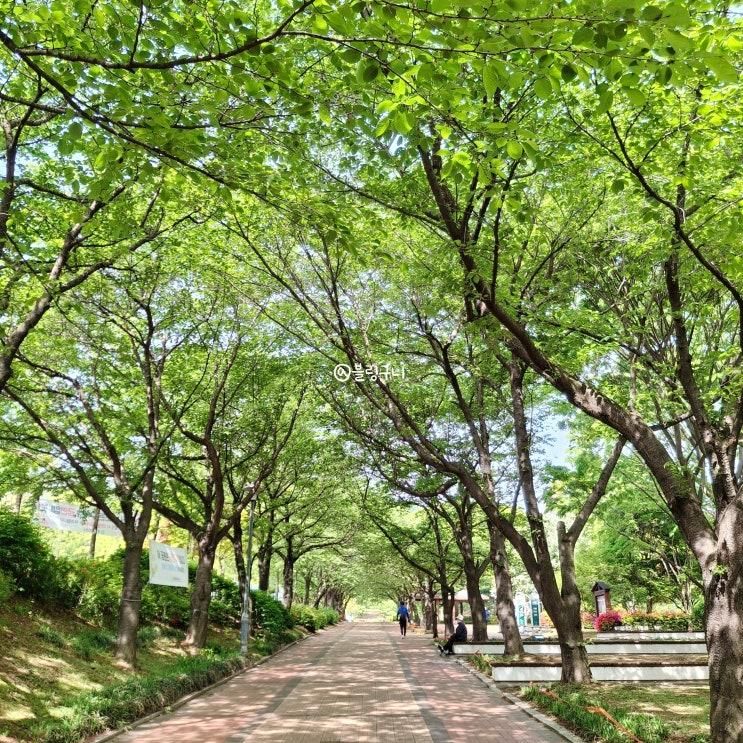 인천 아이랑 갈만한곳 원적산공원 놀이터 체육시설
