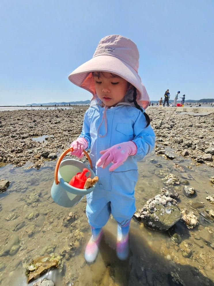 아이들과 서해캠핑은 진리 키즈랜드가 있는 어은돌송림캠핑장