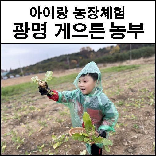 광명 나들이 게으른농부 아이랑 총각김치 만들기 농장체험